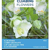 Buzzy Climbing Flowers Klokwinde Zaden Alba