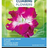 Buzzy Climbing Flowers Klimmende Winde Zaden Pink