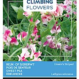 Buzzy Climbing Flowers Reuk- of Siererwt Zaden Unwins Striped