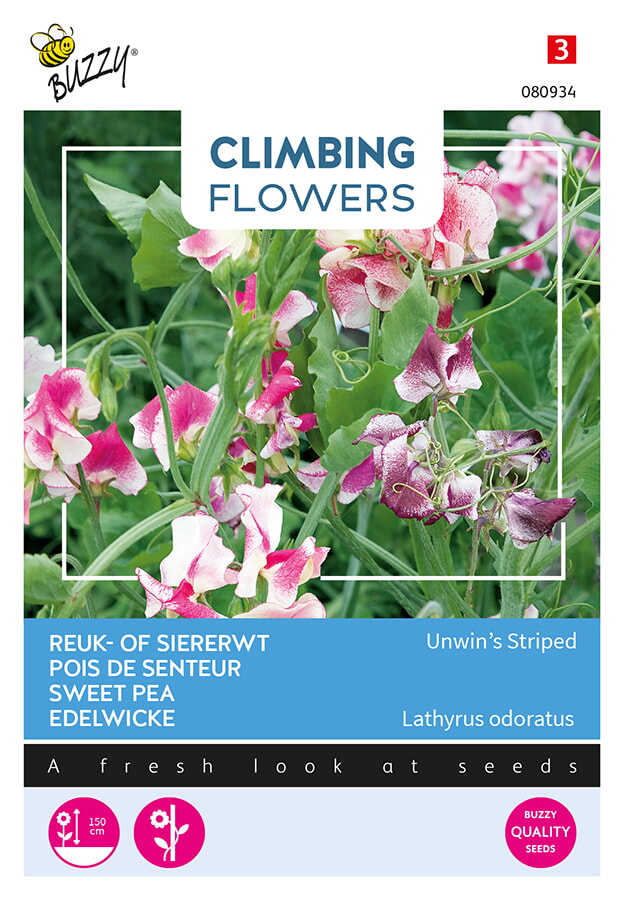 Buzzy Climbing Flowers Reuk- of Siererwt Zaden Unwins Striped