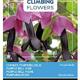 Buzzy Climbing Flowers Chinees Purperklokje Zaden Purple Bells