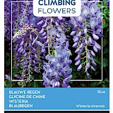 Buzzy Climbing Flowers Blauwe Regen Zaden Blue