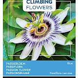 Buzzy Climbing Flowers Passiebloem Zaden Blue