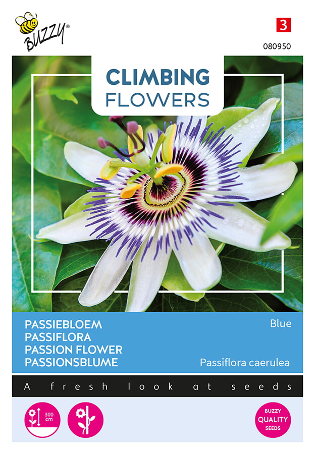 Buzzy Climbing Flowers Passiebloem Zaden Blue