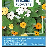 Buzzy Climbing Flowers Suzanne met de Mooie Ogen Zaden Mixed Colours