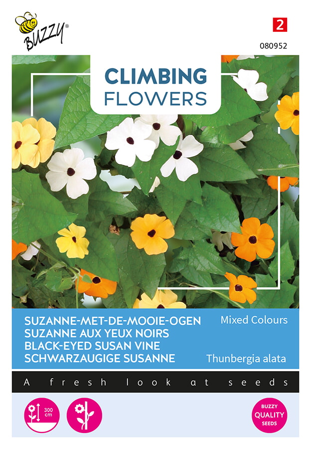 Buzzy Climbing Flowers Suzanne met de Mooie Ogen Zaden Mixed Colours