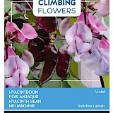 Buzzy Climbing Flowers Hyacintboon Zaden Violet