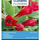 Buzzy Climbing Flowers Leeuwenmuiltje Zaden Red Dragon