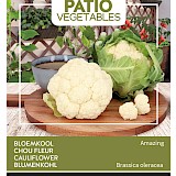 Buzzy Patio Vegetables Bloemkool Zaden Amazing
