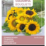 Buzzy Colourful Bouquets Zonnebloemen Zaden Sunlit Days