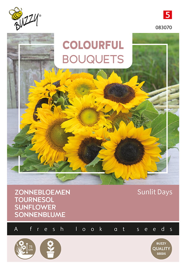 Buzzy Colourful Bouquets Zonnebloemen Zaden Sunlit Days