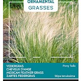 Buzzy Ornamental Grasses Vedergras Zaden Pony Tails