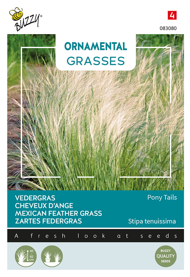 Buzzy Ornamental Grasses Vedergras Zaden Pony Tails