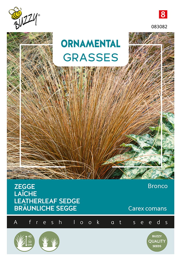 Buzzy Ornamental Grasses Zegge Zaden Bronco