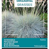 Buzzy Ornamental Grasses Zwenkgras Zaden Festina