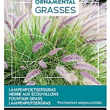 Buzzy Ornamental Grasses Lampenpoetsergras Zaden
