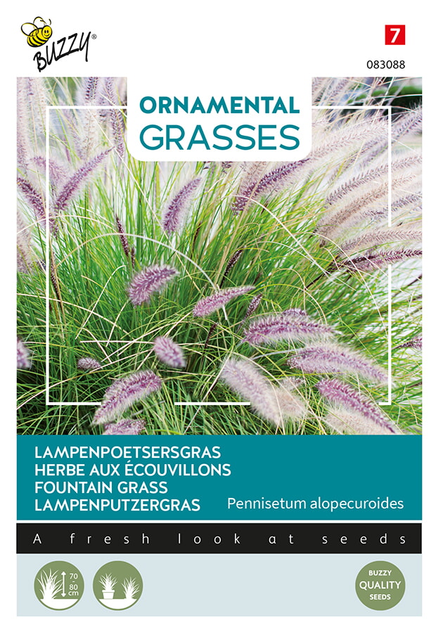 Buzzy Ornamental Grasses Lampenpoetsergras Zaden