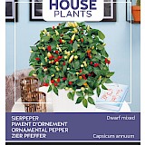Buzzy House Plants Sierpeper Zaden Dwarf Mixed