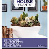 Buzzy House Plants Cactusmengsel Zaden
