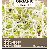 Buzzy Organic Sprouting Alfalfa Zaden