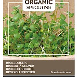 Buzzy Organic Sprouting Broccolikers Zaden