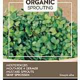Buzzy Organic Sprouting Mosterdkers Zaden