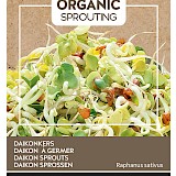 Buzzy Organic Sprouting Daikonkers Zaden