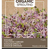 Buzzy Organic Sprouting Koolrabi Zaden Purple