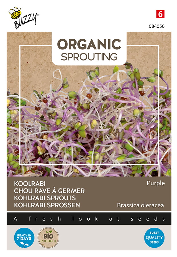 Buzzy Organic Sprouting Koolrabi Zaden Purple