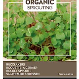 Buzzy Organic Sprouting Rucolakers Zaden
