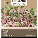 Buzzy Organic Sprouting Radijs Zaden China Rose