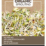 Buzzy Organic Sprouting Salade Mix Zaden