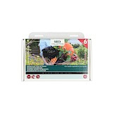 Buzzy Seed Collection 6 Groente Voor De Starter