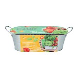 Buzzy Grow Kit Italian