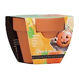 Buzzy Grow Gift Pompoen