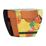 Buzzy Grow Gift Oost-Indische Kers