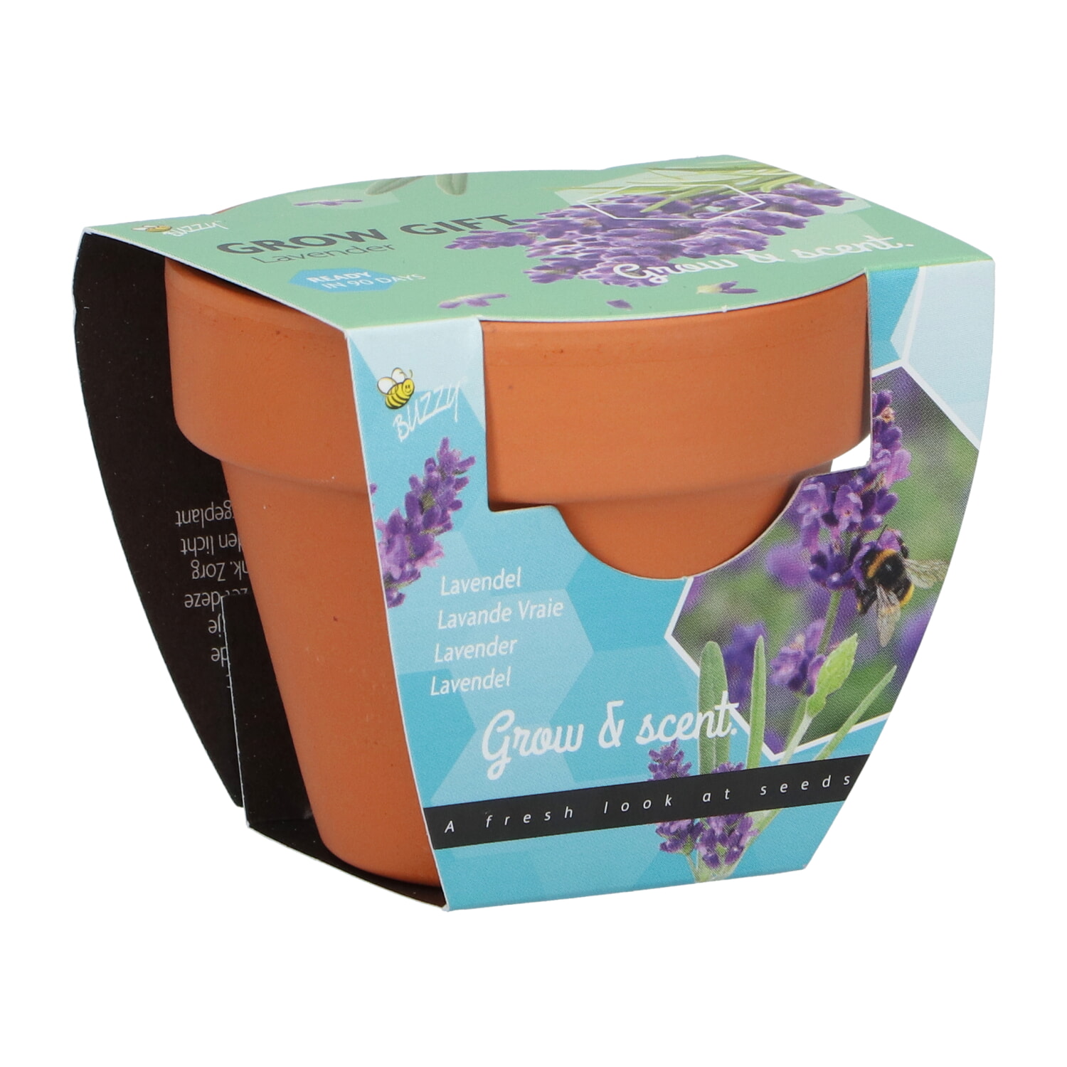 Buzzy Grow Gift Lavendel