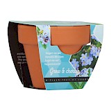 Buzzy Grow Gift Vergeet-me-niet