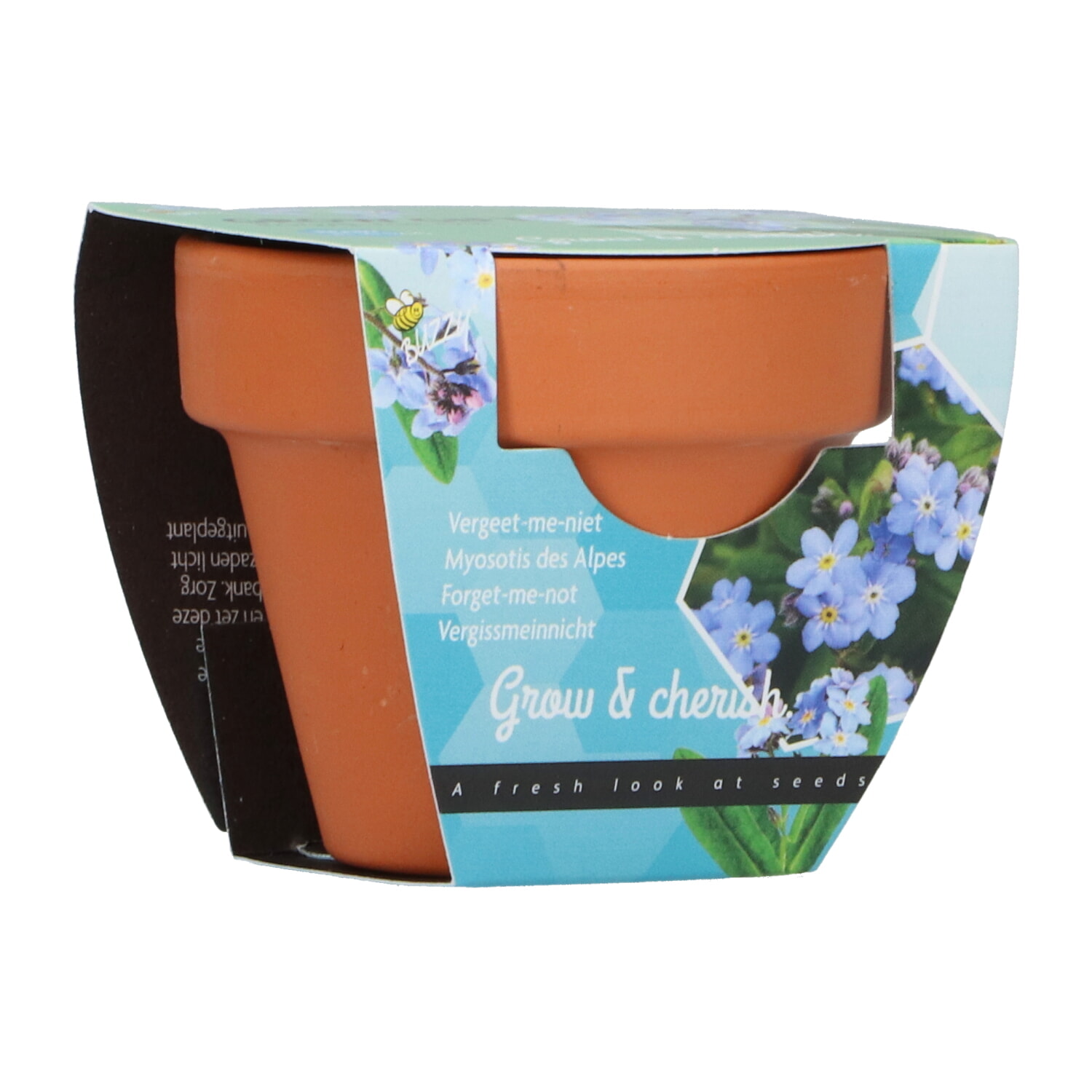 Buzzy Grow Gift Vergeet-me-niet