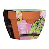 Buzzy Grow Gift Geluksklavertje 4