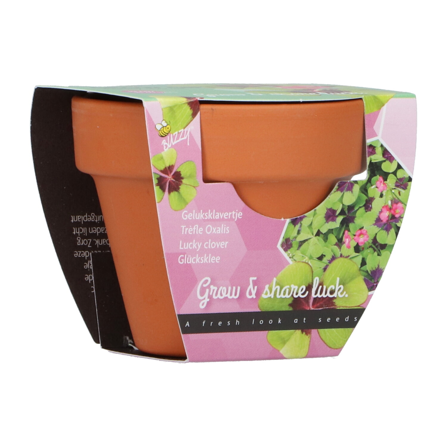 Buzzy Grow Gift Geluksklavertje 4