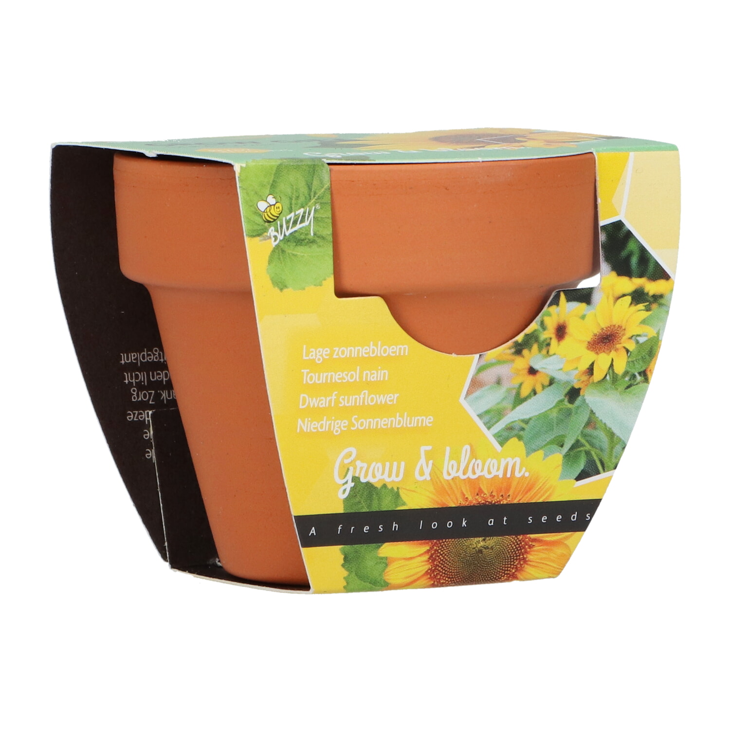 Buzzy Grow Gift Lage Zonnebloem
