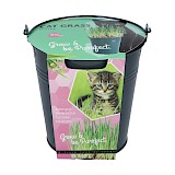 Buzzy Kattengras Emmertje