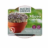 Buzzy Microgreens Terracotta Schaaltje Met Mizuna