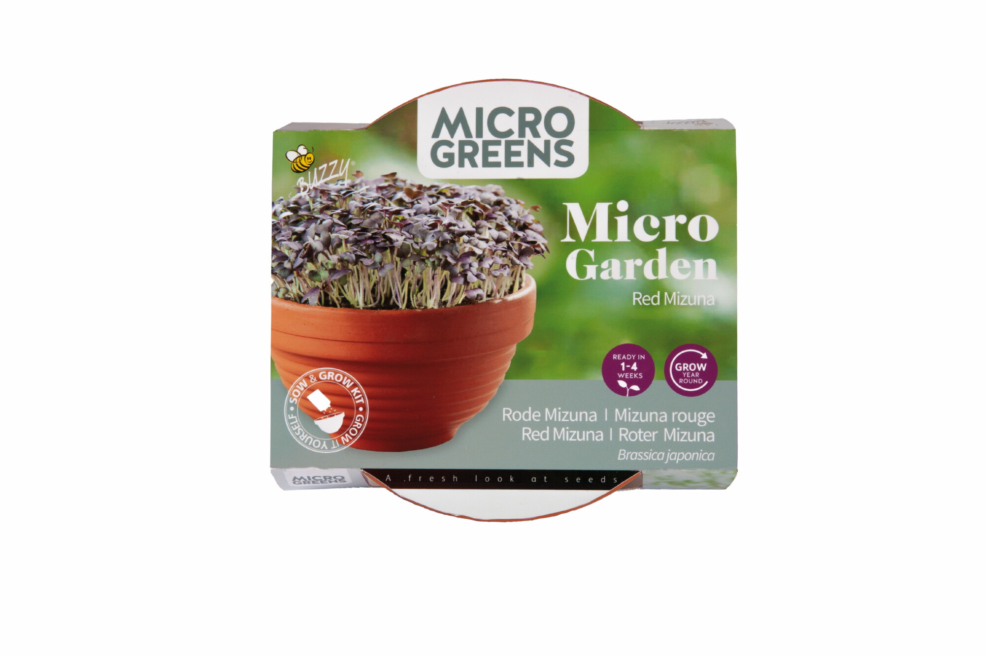 Buzzy Microgreens Terracotta Schaaltje Met Mizuna