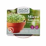 Buzzy Microgreens Terracotta Schaaltje Met Tatsoi