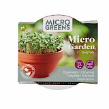Buzzy Microgreens Terracotta Schaaltje Met Boerenkool