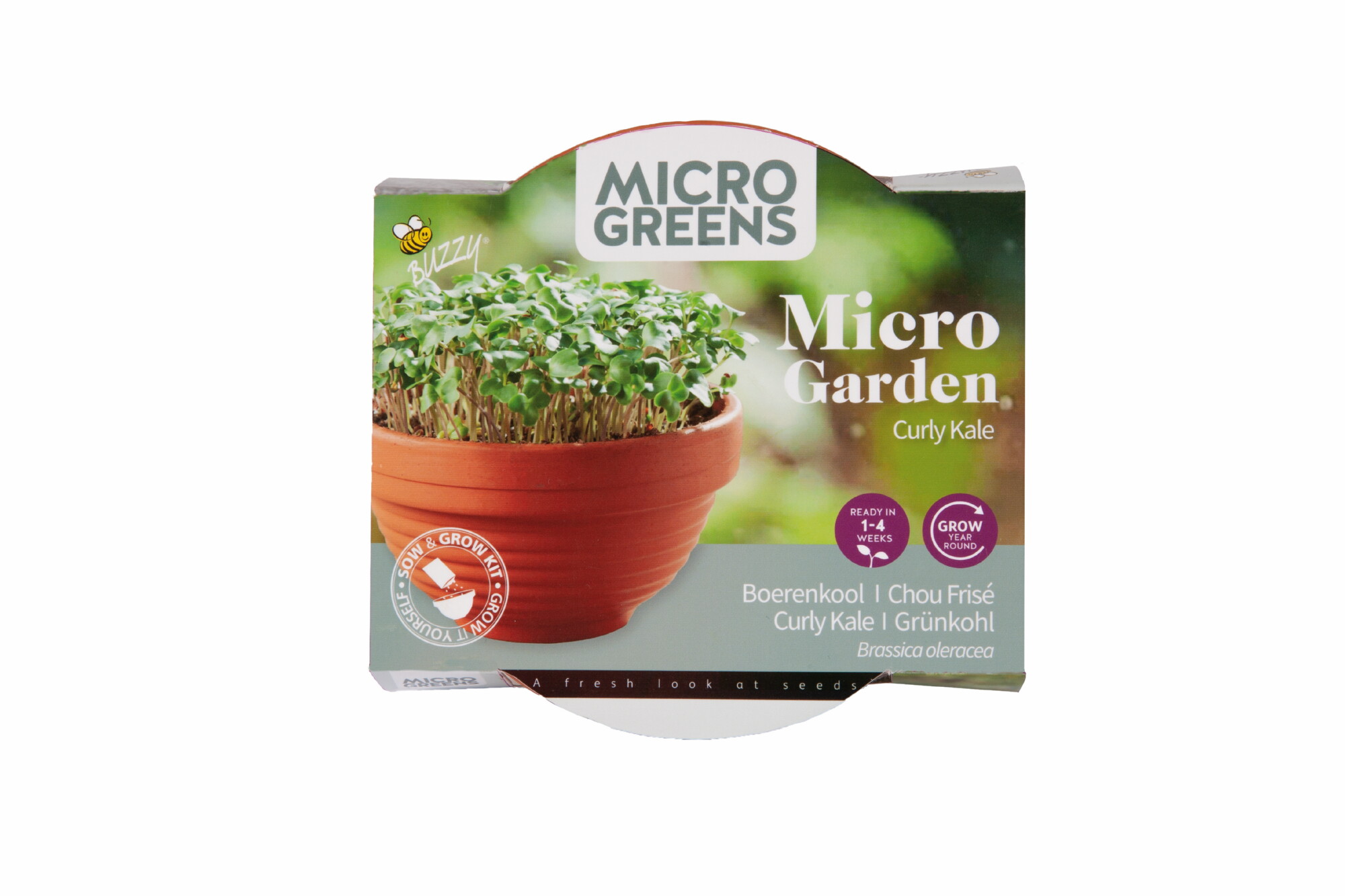 Buzzy Microgreens Terracotta Schaaltje Met Boerenkool