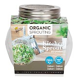 Buzzy Organic Sprouting Daikon Met Glazen Pot