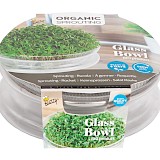 Buzzy Glazen Bowl Voor Spruitgroente Zaden